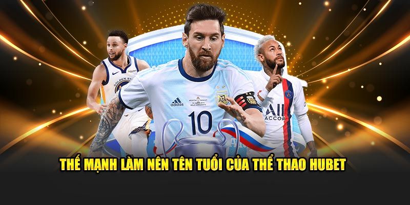 Các điểm nổi bật của sảnh thể thao thu hút người tham gia