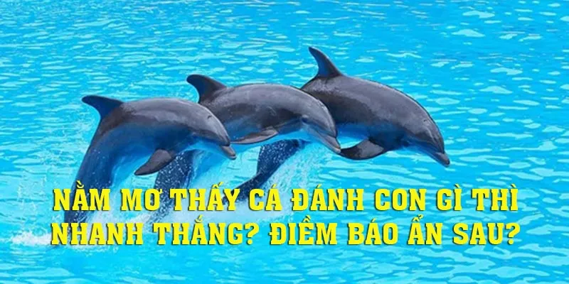 Nằm Mơ Thấy Cá