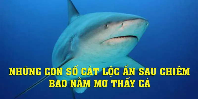 Nằm mơ thấy cá nên đánh con gì cho nhanh giàu?