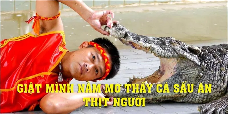 Nằm mơ thấy cá sấu ăn thịt người là điềm báo gì?